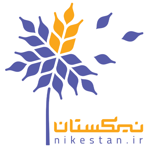 موسسه اجتماعی نیکستان